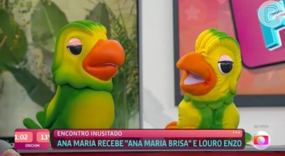 O encontro de 'titãs' entre Louro José e Louro Enzo.