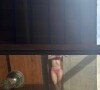 Paolla Oliveira exibiu corpo em foto de biquíni rosa