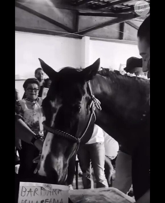 A égua Bella foi levada para se despedir de Bárbara e muita gente se emocinou com o momento