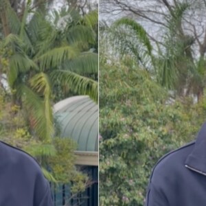 Faustão gravou um vídeo para falar sobre próximos passos de recuperação