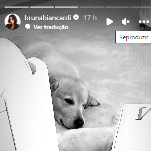 Bruna Biancardi mostrou que seus cachorros são seus companheiros ao 'cuidar' da Mavie