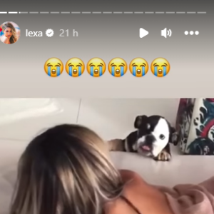 Lexa abalada com a morte de um dos seus cachorros publicou momentos com ele no Instagram para ver se alivia a dor
