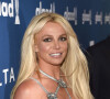 Britney Spears e namorado, Paul Soliz, protagonizaram briga com direito a ambulância e polícia