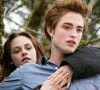 Em 2008, Kristen estrelou 'Crepúsculo', maior sucesso da sua carreira, que bombou a nível mundial