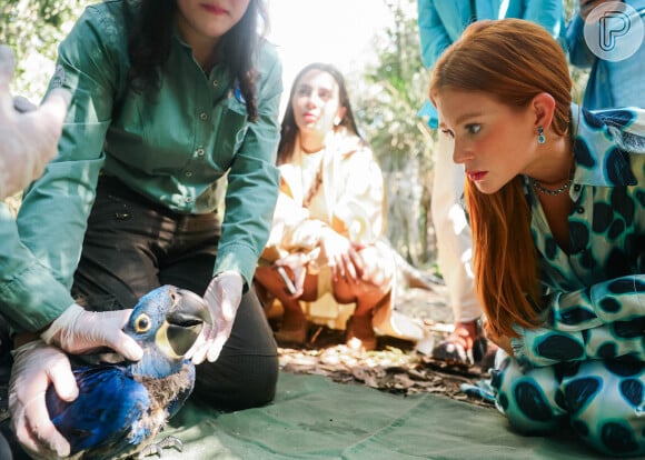 Marina Ruy Barbosa acompanhou de perto tratmento recebido por araras azuis em parque do Pantanal