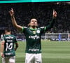 Palmeiras x Corinthians pela 13ª rodada do Campeonato Brasileiro 2024 em 1º de julho de 2024 será exibido só no Premiere