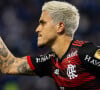 Flamengo x Cruzeiro pela 13ª rodada do Campeonato Brasileiro 2024 em 30 de junho de 2024 será exibido apenas no Premiere às 18h30