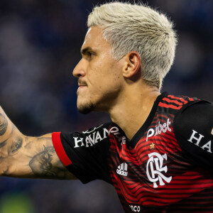 Flamengo x Cruzeiro pela 13ª rodada do Campeonato Brasileiro 2024 em 30 de junho de 2024 será exibido apenas no Premiere às 18h30