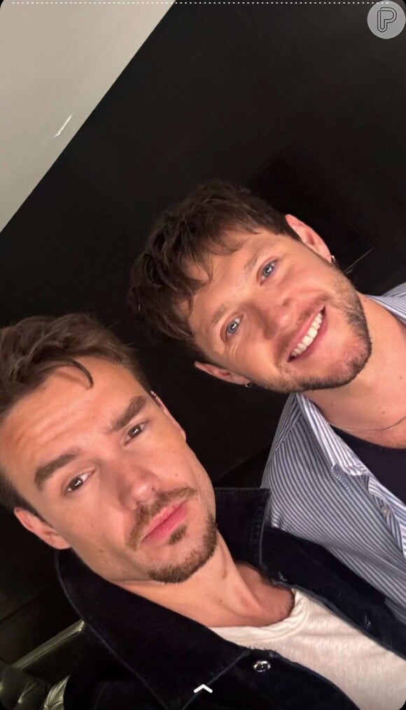 Liam Payne e Niall Horan tiraram fotos juntos em um reencontro que movimentou a web e, principalmente, fãs da One Direction