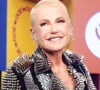 Xuxa Meneghel recebe convite inesperado do SBT em meio a troca de farpas com Jojo Todynho