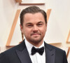 Leonardo DiCaprio tem descendência alemã e fala perfeitamente o idioma, considerado um dos mais complexos do mundo