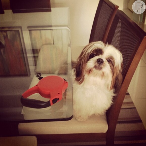 No Instagram, Bárbara Borges chama Johnny de 'cãopanheiro'