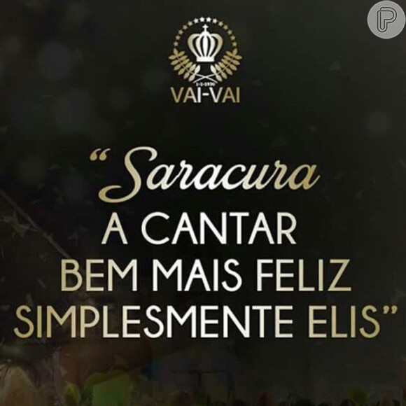 Ana Hickmann comemora campeonato da Vai-Vai no Carnaval de São Paulo: 'É nosso'
