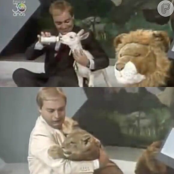 No programa 'TV Animal', Gugu brincou com vários bichos