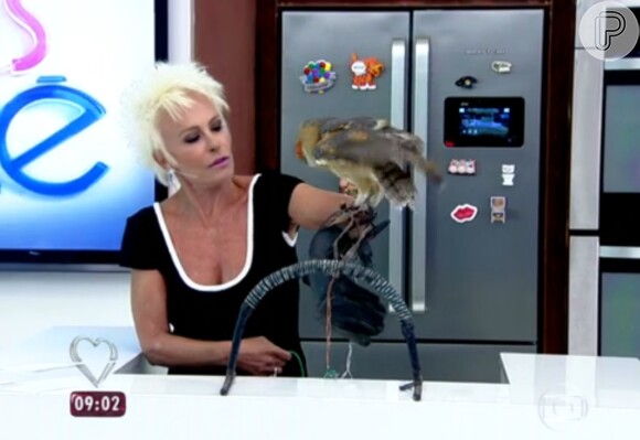 Ana Maria Braga teve dificuldade de colocar a coruja no puleiro: 'Gostou de mim'