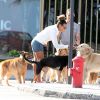 Sheron Menezzes passeando com seus cachorros pelo bairro de Ipanema, no Rio: 'Tenho uma vida normal, tem que ser assim'