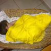 Isabeli Fontana mostra o filho Lucas dormindo em um cesto