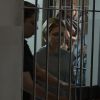 Inês (Adriana Esteves) foi levada para uma casa de custódia depois de tentar estrangular Beatriz (Gloria Pires) na delegacia, na novela 'Babilônia'