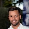 Ricky Martin anunciou a legalização do casamento gay em seu perfil no Twitter: 'Acaba de ser anunciada a igualdade para casamentos neste país'