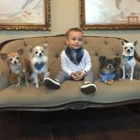 Filho de Ana Hickmann usa acessório igual ao dos cachorros: 'Fofos da mamãe'