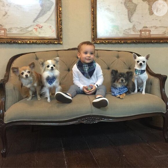 Ana Hickmann mostrou um clique de seu filho, Alexandre Jr., usando uma bandana no pescoço igual aos seus cachorrinhos de estimação