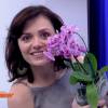 Monica Iozzi mostrou empolgada vaso de flores que ganhou de Raphael Sander no 'Vídeo Show': 'Maravilhosas'