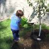 Gisele Bündchen usou as redes sociais para postar uma foto fofa do filho. Na imagem, o pequeno Benjamin aparece de costas plantando uma árvore e recebe elogios da modelo: 'Meu pequeno Benny plantou sua primeira árvore! #mamãeorgulhosa'