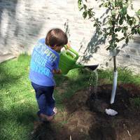 Gisele Bündchen mostra filho plantando árvore: 'Mamãe orgulhosa'