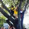 Regina foi flagrada pelos manifestantes em cima de uma árvore