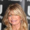 Goldie Hawn ficara hospedada no hotel Fasano, em Ipanema