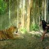 Katy Perry amansa um tigre, o animal que é símbolo de 'Roar', com um rugido