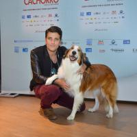 Bruno Gagliasso recebe famosos em exibição do filme 'Mato sem Cachorro', no RJ