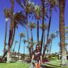 Bruna Marquezine na viagem aos Estados Unidos: 'Vai ser incrível! Coachella'