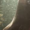 Prostitutas do cabaré de Virgínia (Lilia Cabral) tomaram banho nuas em um rio na novela 'Liberdade, Liberdade'