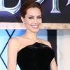 Segundo site 'TMZ', Angelina Jolie também acreditava que o convívio de Brad Pitt com os seis filhos podia representar um risco, já que o ator costumava abusar da maconha e do álcool e perder o controle nos momentos de raiva