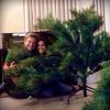 Thaís Fersoza elogia: 'orgulhosos da nossa árvore de Natal'. A atriz e Michel Teló namoram desde outubro de 2012 