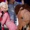 Miley Cyrus faz 'twerking' com um cavalo em seu 'Acústico MtV', em 29 de janeiro de 2014