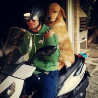 Thiago Martins coloca seu cachorro na garupa da moto: 'Sem capacete não pode'