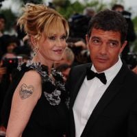 Antonio Banderas e Melanie Griffith brigam por custódia dos cães após divórcio