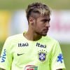 Neymar deve ter faturamento anual em 2014 de R$ 108 milhões, diz colunista