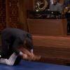 Halle Berry e Jimmy Fallon tiraram a prova de letra e surpreenderam o público no palco do programa exibido pelo canal NBC