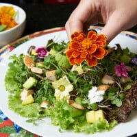 Fácil e rápido: aprenda a montar uma salada especial com castanhas e tofu!