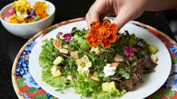 Fácil e rápido: aprenda a montar uma salada especial com castanhas e tofu!