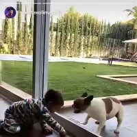 Gusttavo Lima mostra o filho Gabriel brincando com cachorros em vídeo