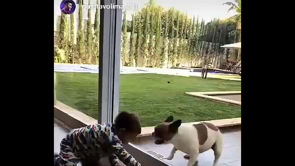 Gusttavo Lima mostra Gabriel brincando com cães, em 4 de agosto de 2018
