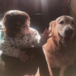 Filha de Bruno Gissoni e Yanna Lavigne, Madalena brincou perto do golden retriever da família na manhã desta quinta-feira, dia 30 de agosto de 2018