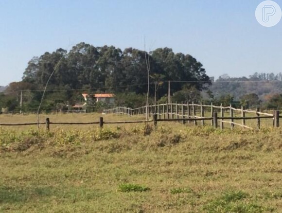 Sítio de Ana Paula Arósio tem mais de 110 hectares de terra