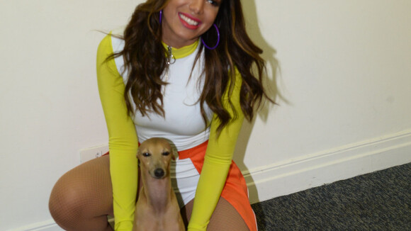 Inseparáveis! Anitta leva o pet Plínio ao 'Show das Poderosinhas'. Veja fotos!