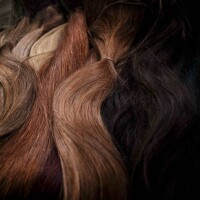 Tonalidades mais escuras viram tendência para cabelo em 2019. Veja as cores!