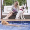 Giovanna Ewbank abriu sua casa ao 'Domingão do Faustão' e mostrou Zeca, Peste, Johnny, Favela e Menina, os cinco cachorros que cria com o marido, Bruno Gagliasso